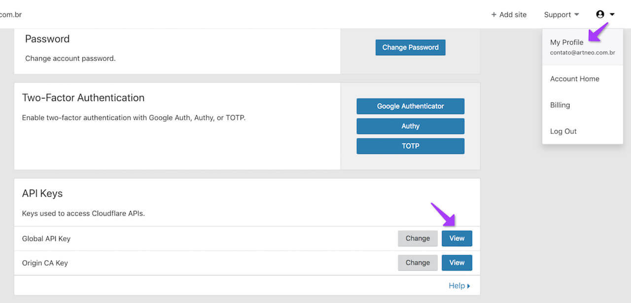 Encontre a Global API key